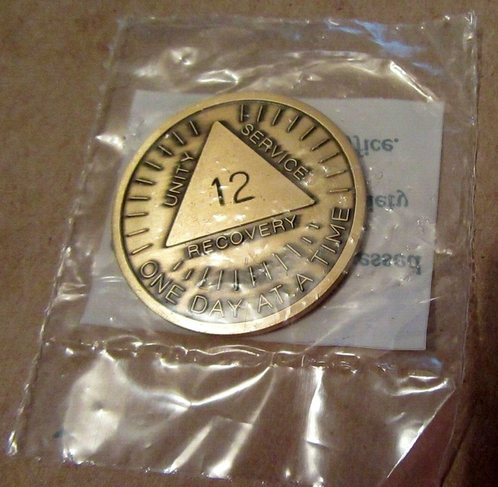 Alcoholics Anonymous AA 12 year Sunshine Bronze Medallion Token chip Sober