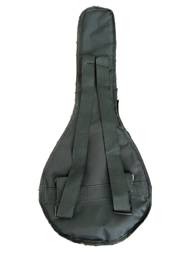 Mandolin gig bag