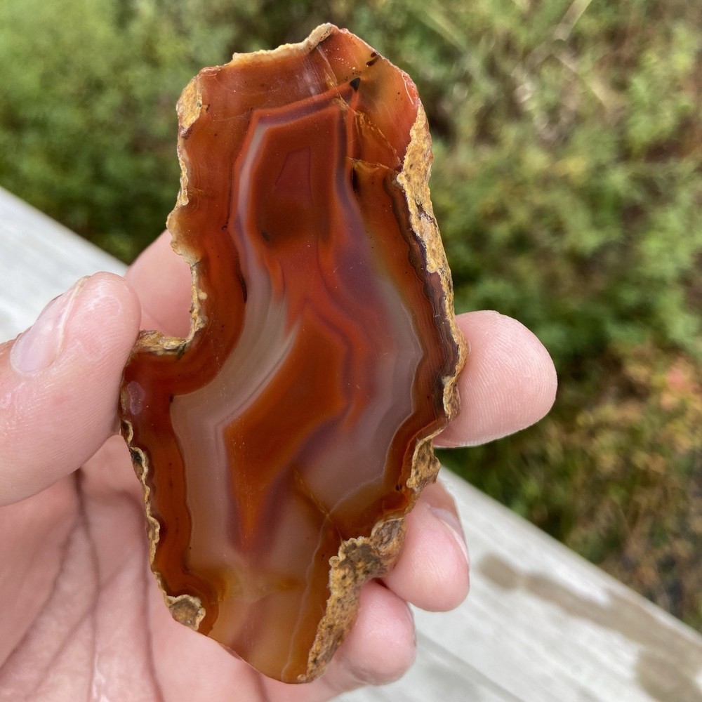 Red Laguna Agate Slab 1.48 Oz