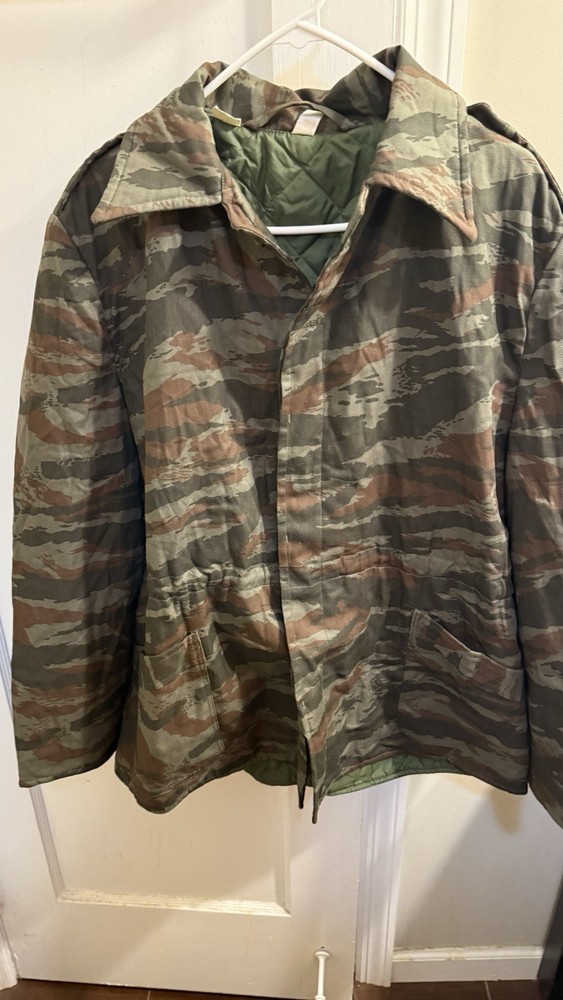 Cuban Lizard/ Grey Lizard