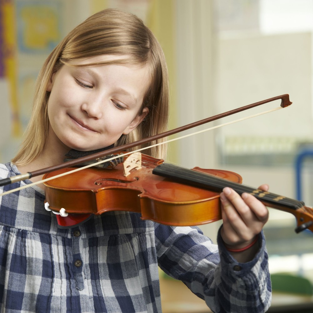 Violin Shoulder Rest