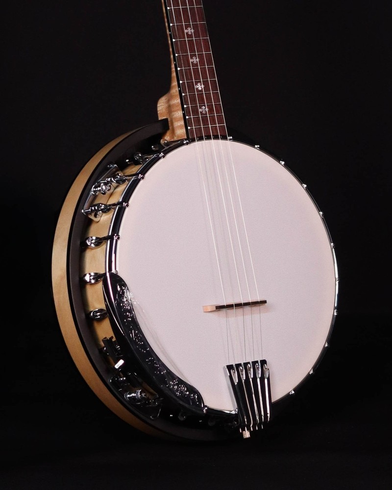 Gold Tone CC-100R 5-String Banjo, Includes Bag