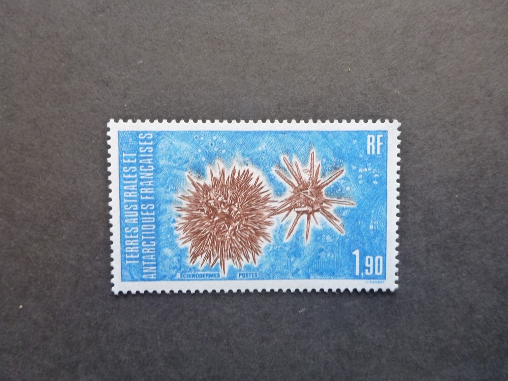 French Antarctic Territory 1986 Echinoderms Mint Stamp