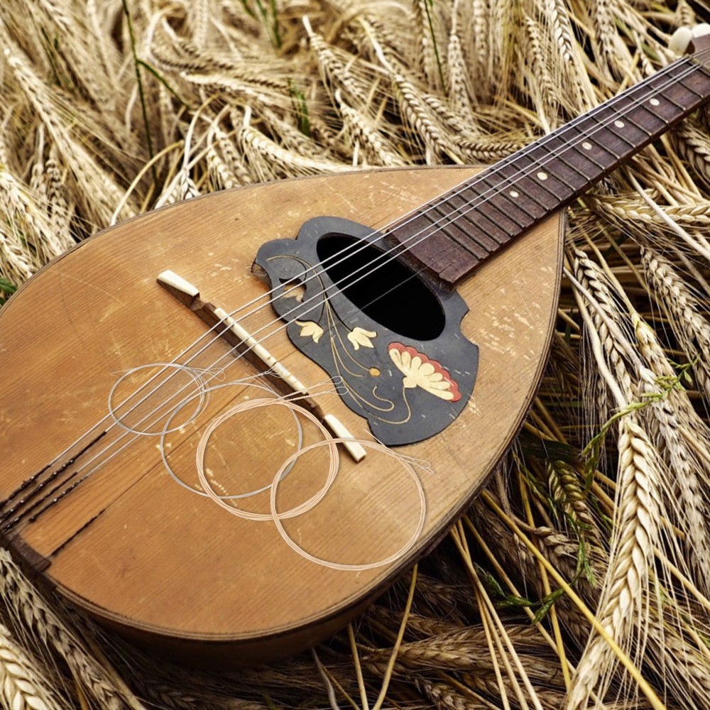 1 Set Mandolin Strings Mandolin Replacement Strings Stainless Steel mandolin