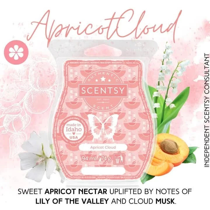 Apricot Cloud Scentsy Bar