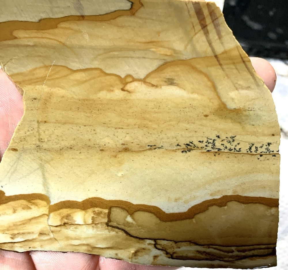owyhee picture jasper Slab