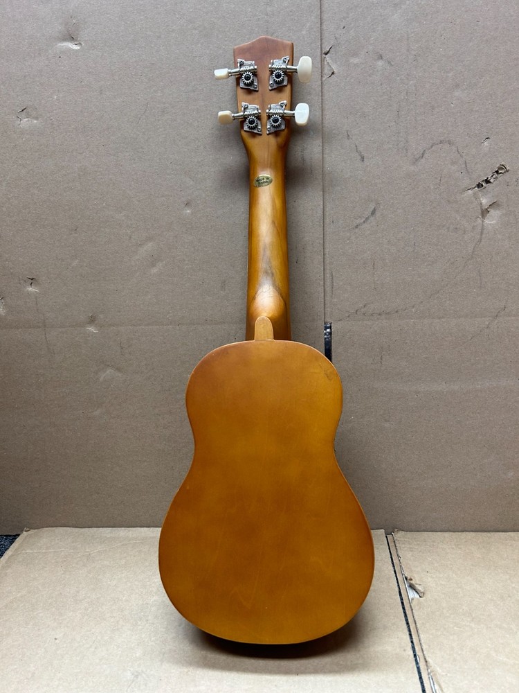 Teach Yourself To Play Ukelele Pack (Strings,Bag,Book)