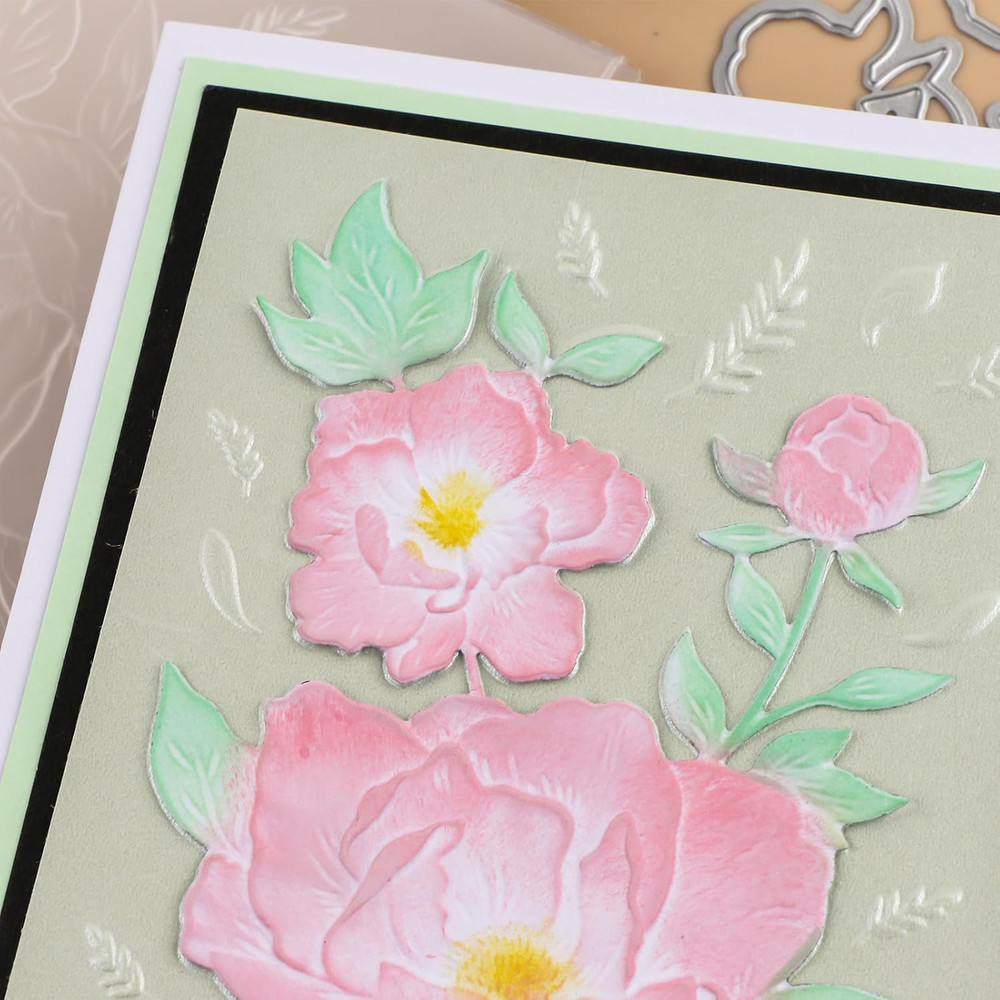 3D Embossing Folder for Card Making,Flower Clear Plastic Texture Fades Embossing