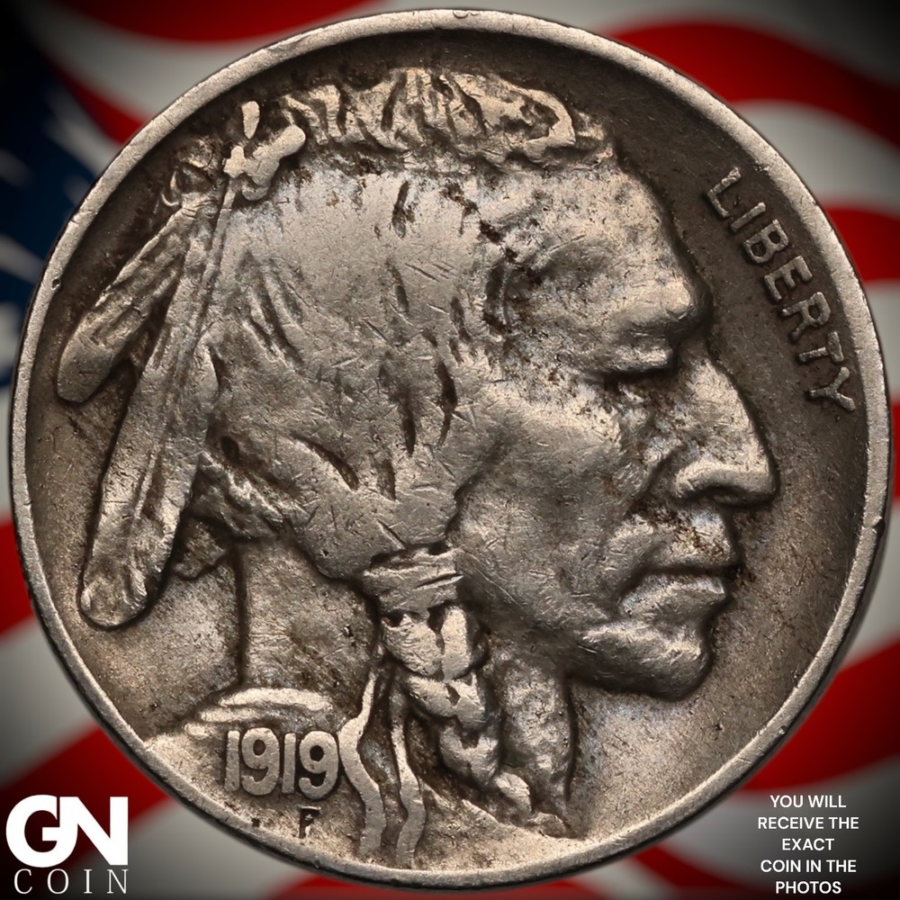 1919 D Buffalo Nickel A1662