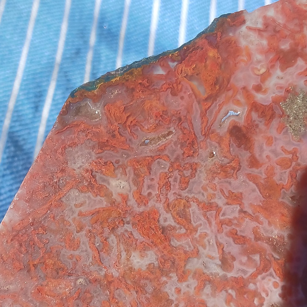 BIG Moss Agate Slab Ready For Lapidary