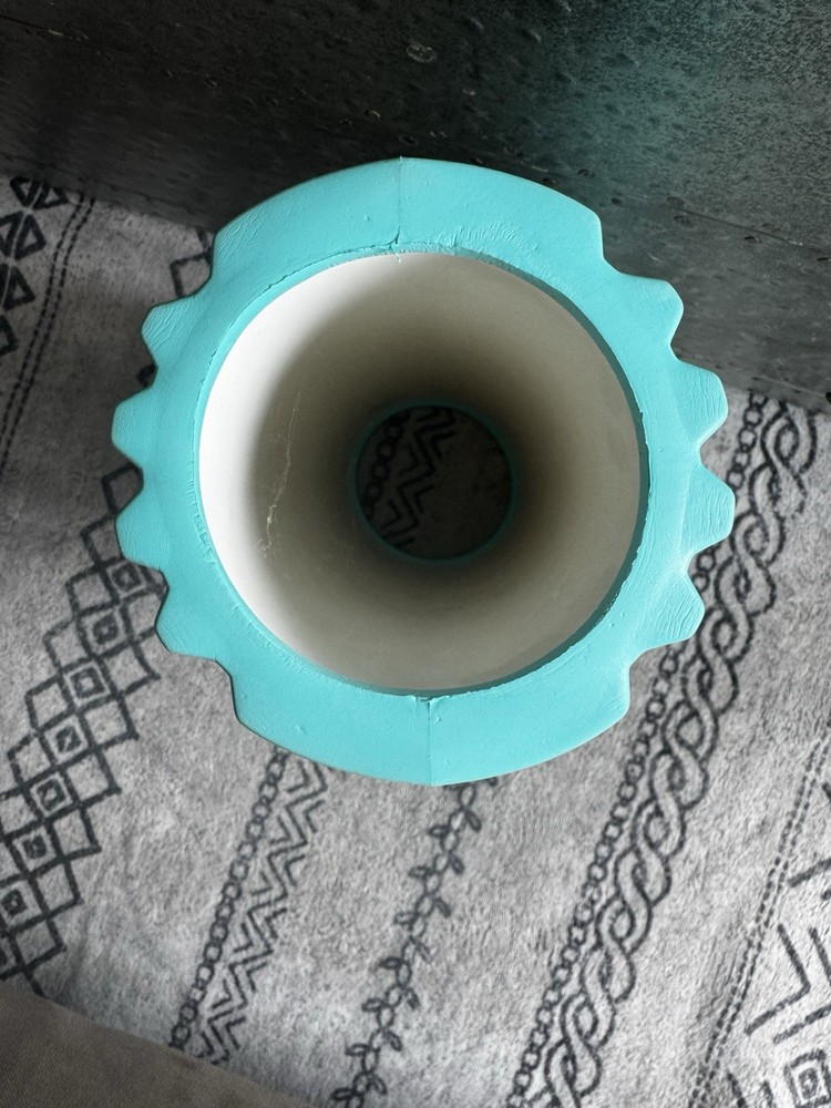 Blue Foam Roller