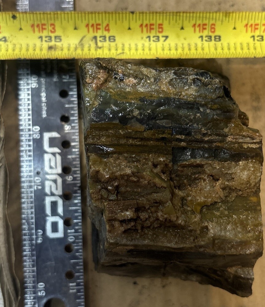 Colorful petrified wood
