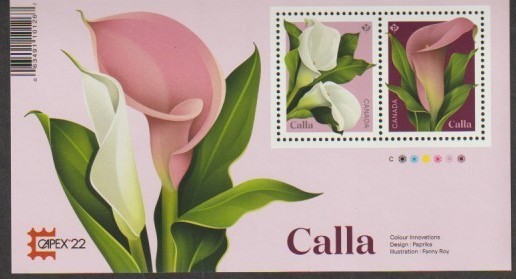 Canada FS 3319 Calla Flower with Capex Overload 22