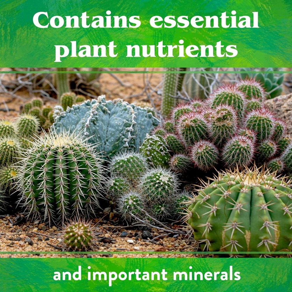 Down To Earth 2-4-8 Cactus Mix 5 LB