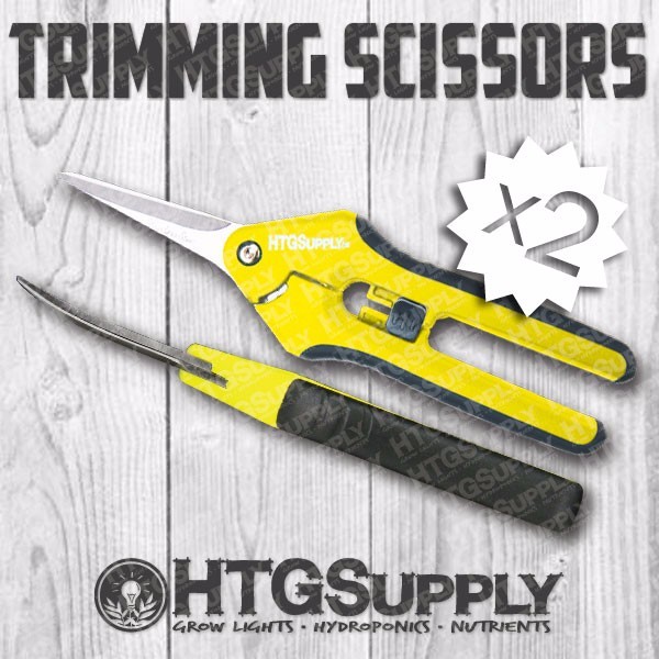 2-PACK CURVED MICRO TIP SCISSORS PRUNER PRECISION SPRING PLANT TRIMMER BONSAI