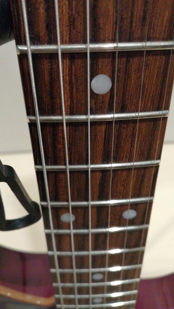 SCHECTER RJ-1-24-TOM Electric Guitar-01