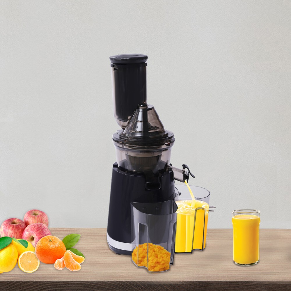 Kitchen Juicer Masticating Juicer Machine Squeezing Fruit Extractor Juicer 250W