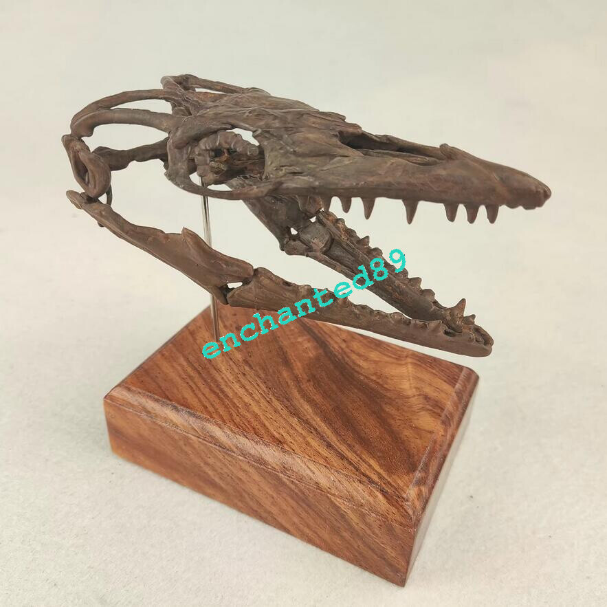 Mosasaurus Skull Dinosaur Statue Painted Model Display Collectible Figure