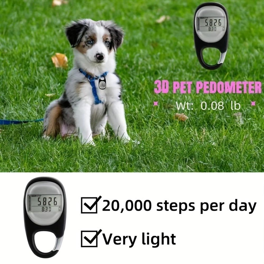 3D Accurate Practical Functional Sturdy High-Quality Lightweight 3D Step Counter