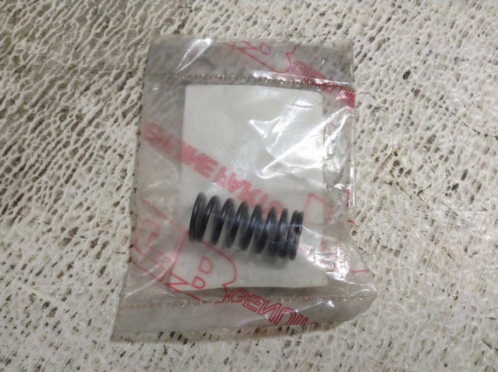 TGB 924025 Inner Valve Spring New (TSC)