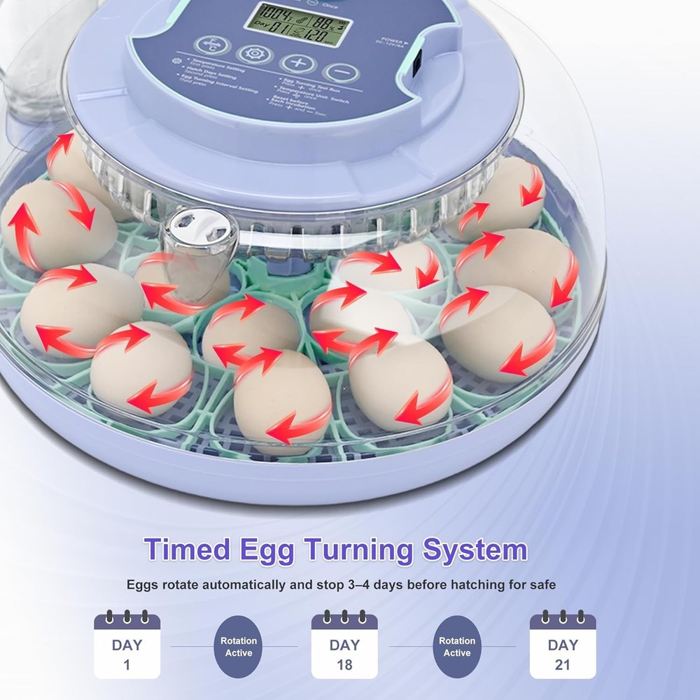 18 Egg Incubator for Hatching Chicks, Automatic Egg Turner Holds 18 Eggs, Sma...