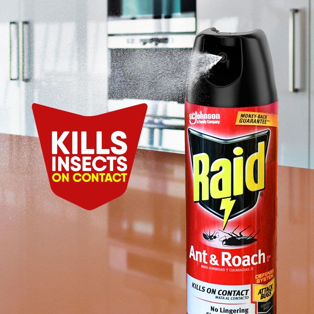 Raid Ant & Roach Killer: Your Defense Against Household Pests | 17.5 fl oz