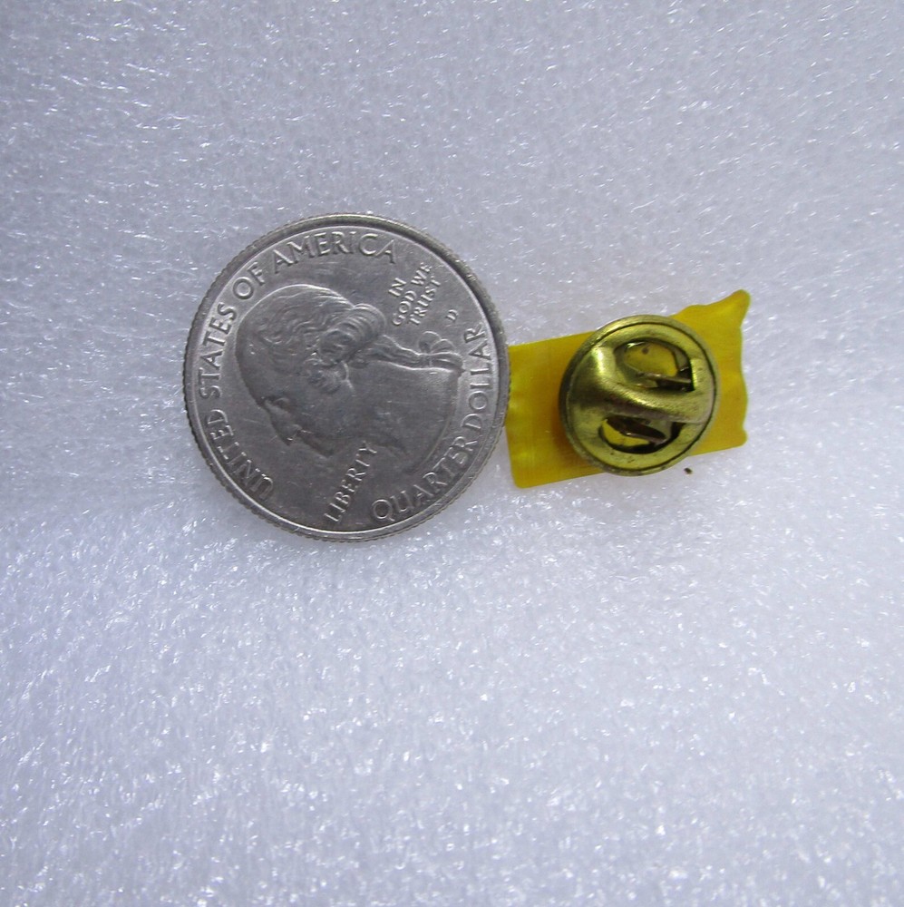 1974 1200 Club Plastic Pin