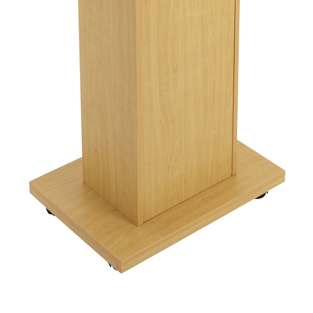 Portable Mobile Presentation Stand with Storage for Classroom and Office US