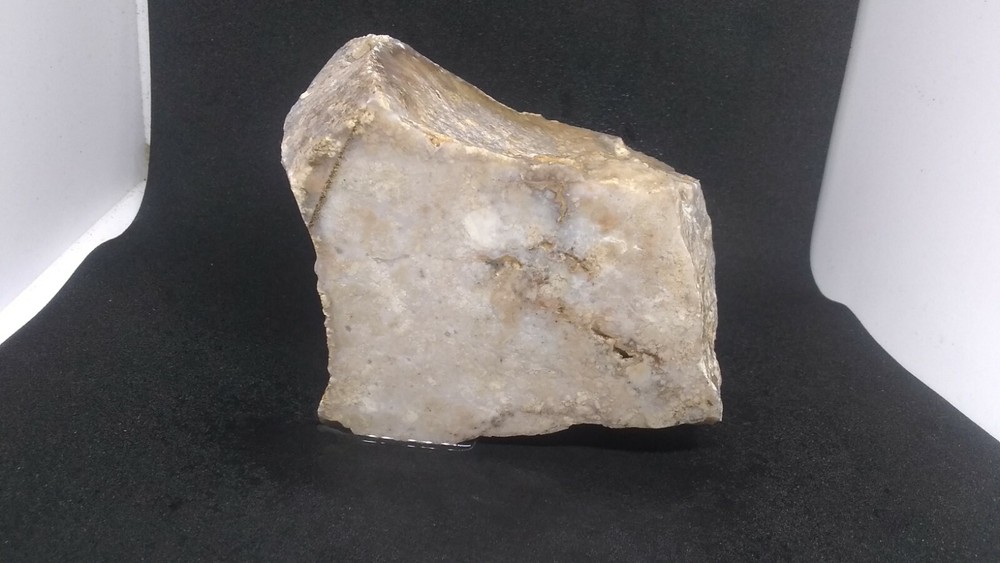 Jasper Chalcedony Murray Mountain Specimen Slabbed Both Sides