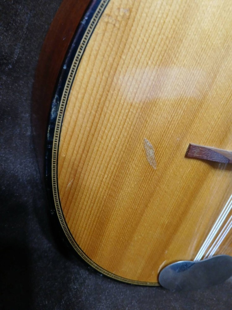 VINTAGE NICE SOUNDING 12 STRING TEARDROP MANDOLIN**SEE VDO**