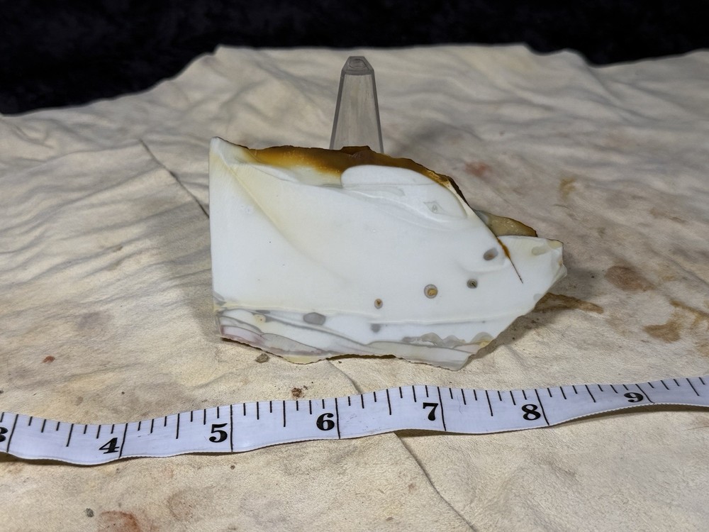 Willow Creek Jasper End Cut, Lot #60