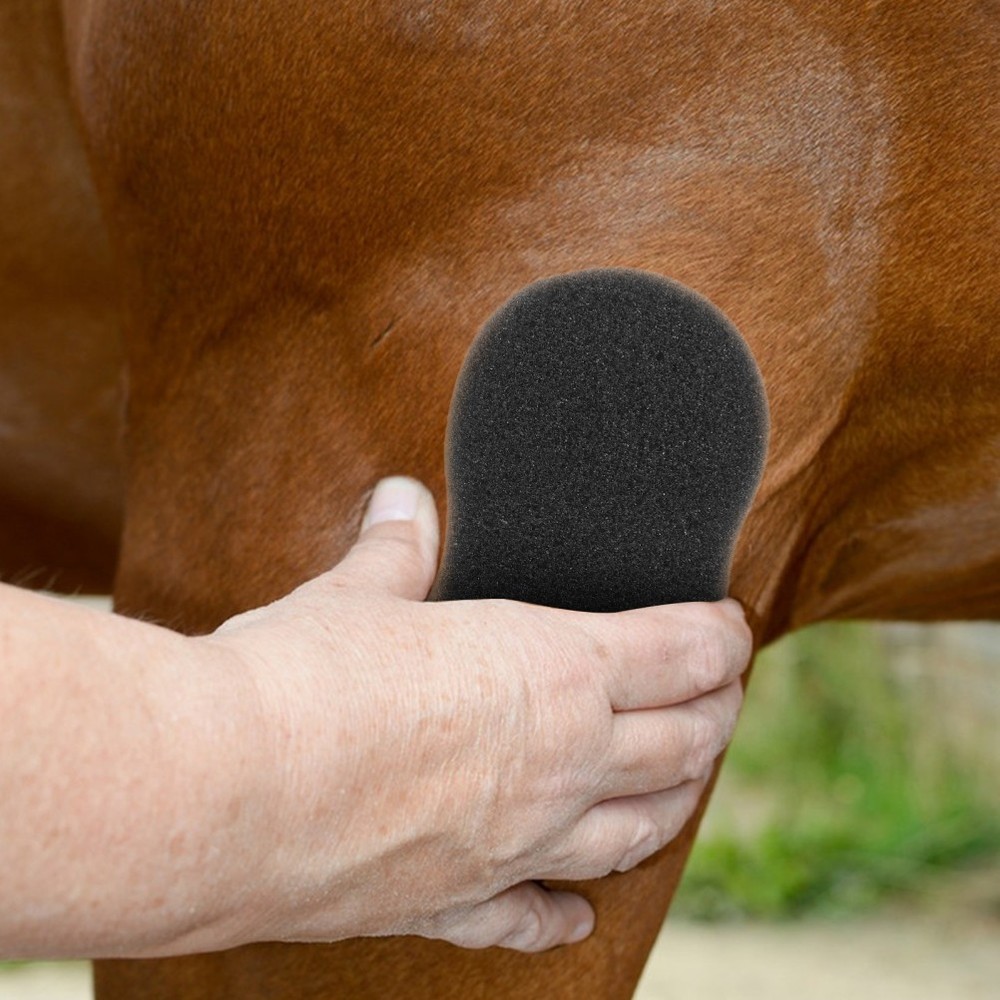 5 Pcs Horse Bathing Tools Cleaning Sponges Large Soft Sponge Set