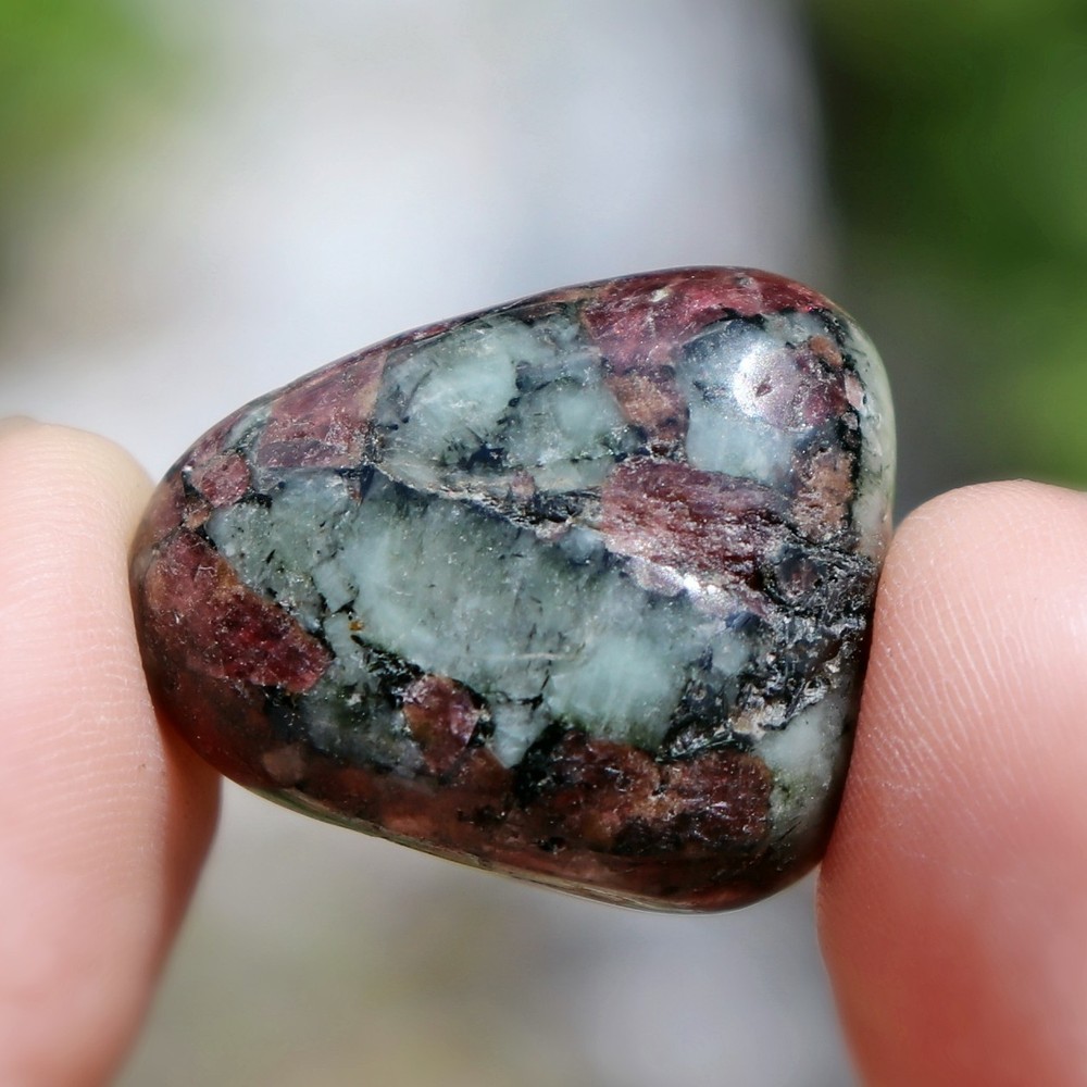 Polished Eudialyte (EUD42)
