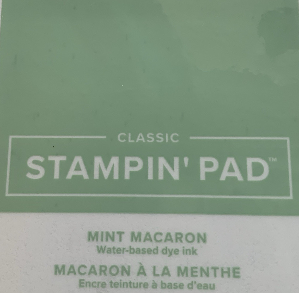 Stampin Up Ink Pad MINT MACARON Current Case Design AS IS FLAW