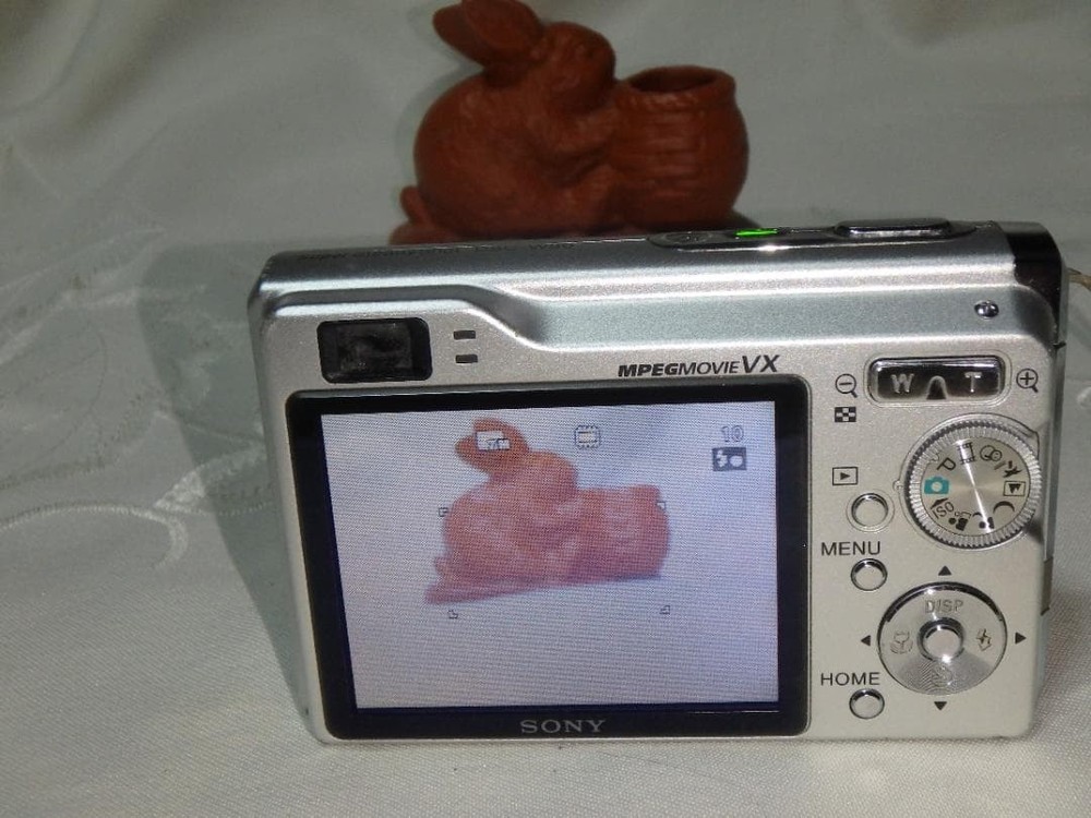 SONY Cyber-shot DSC-W80 Digital Camera Tested Flash Playback Working