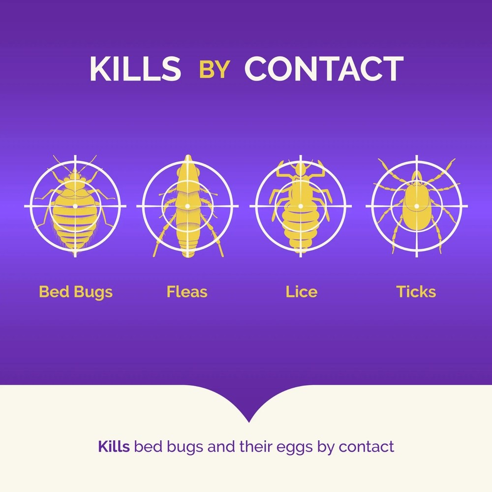 3 Pack Hot Shot Bed Bug Killer Spray 17.5 oz Pyrethroid-Resistant Indoor Flea Ti