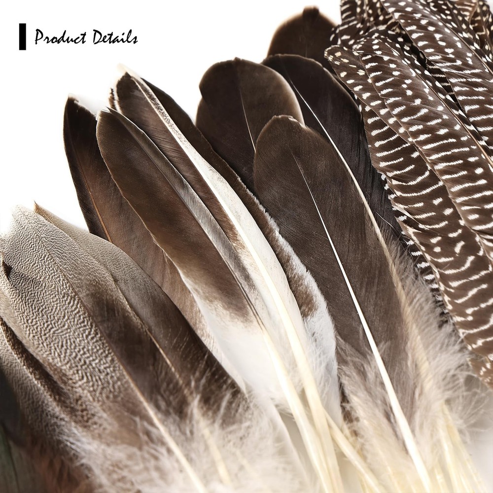 60pcs Natural Pheasant Feathers Bulk Spotted Feathers 6 Styles Mixed Feathers...