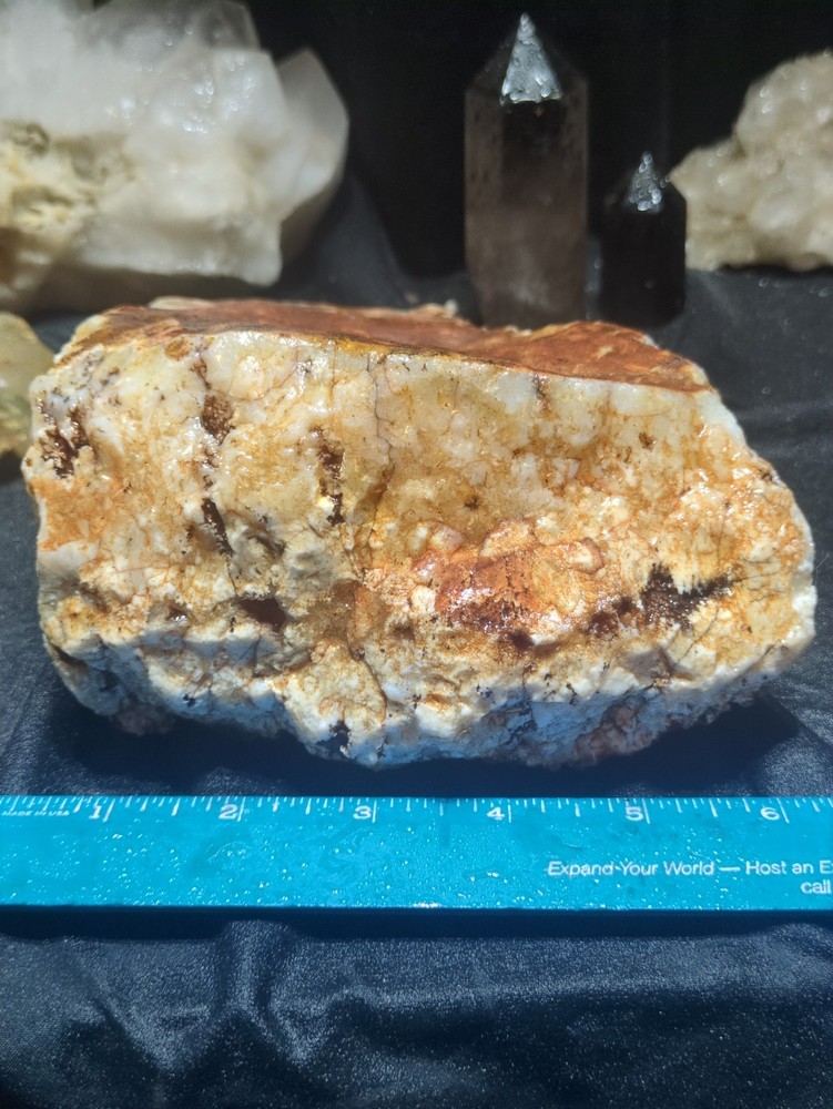 Graveyard Plume Agate w/ Dendric Specimen Natural Form (4lbs 12oz)