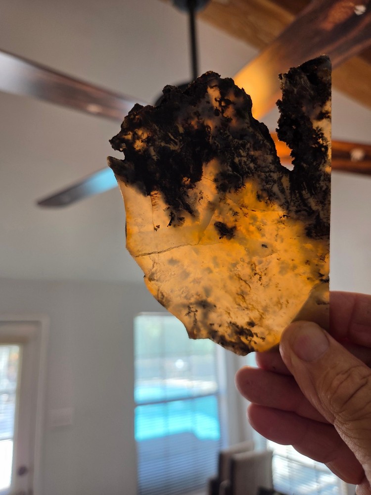 Graveyard Point Agate Slab