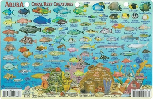 Aruba Dive Map & Reef Creatures Waterproof Fish Card