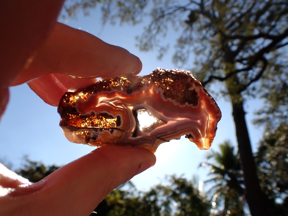 Rare Solid Laguna Agate Rainbow colors Lapidary Slab Parallax