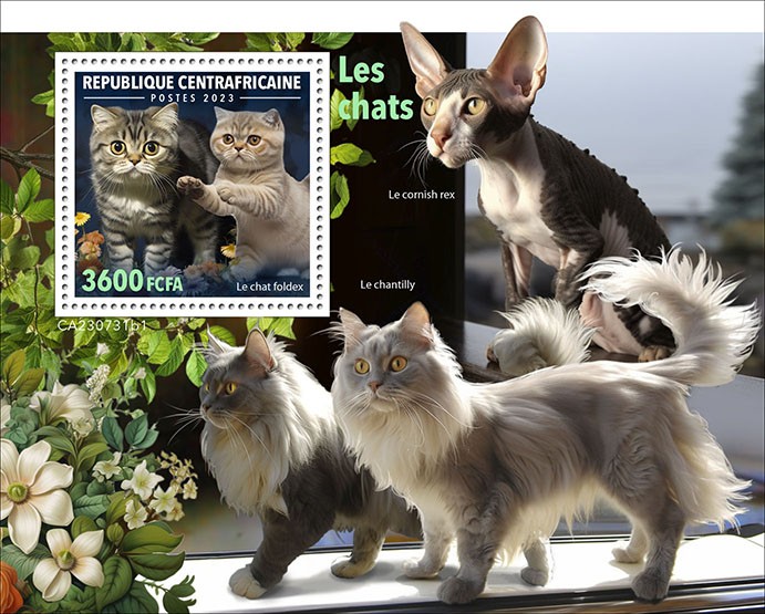 Cats