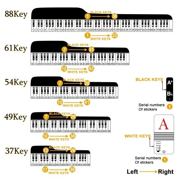 Piano Stickers Keyboard Key Note: Removable Piano Keyboard Note Multicolour