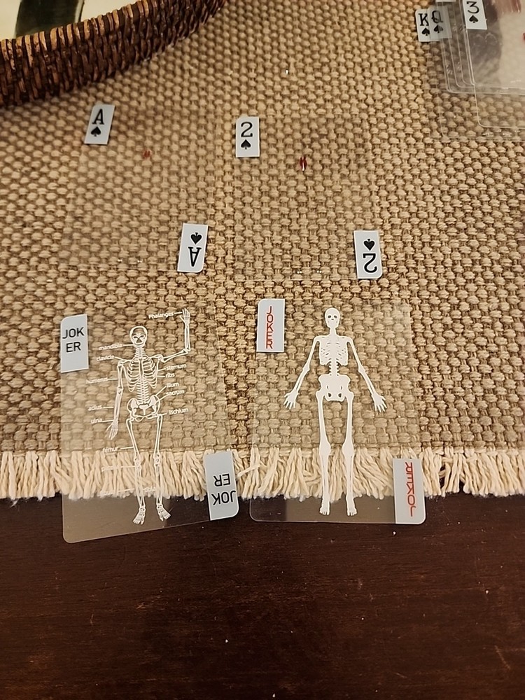 Human Anatomy Playing Cards
