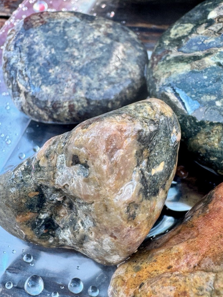 Jaspers Rough Lapidary 5 Lbs