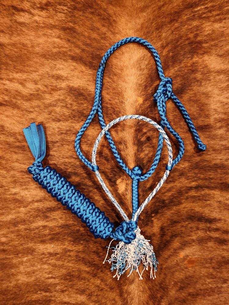 royal blue halter/lead