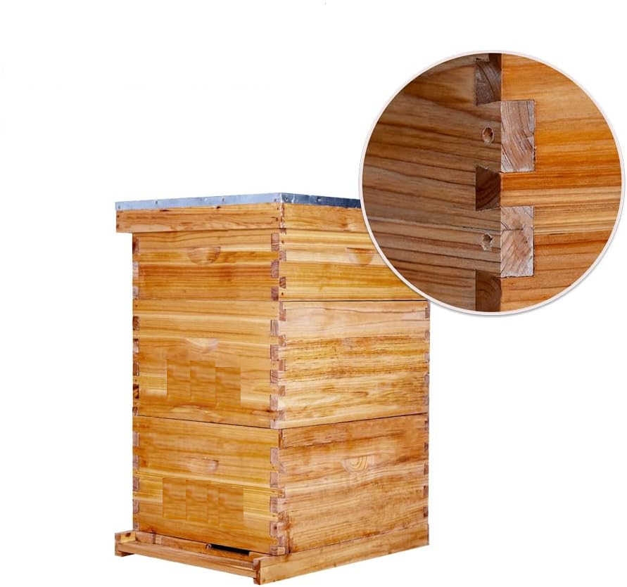 10-Frame Complete Bee Hives Includes 2 Deep Hive Bee Box and 1 Bee Hive Super US