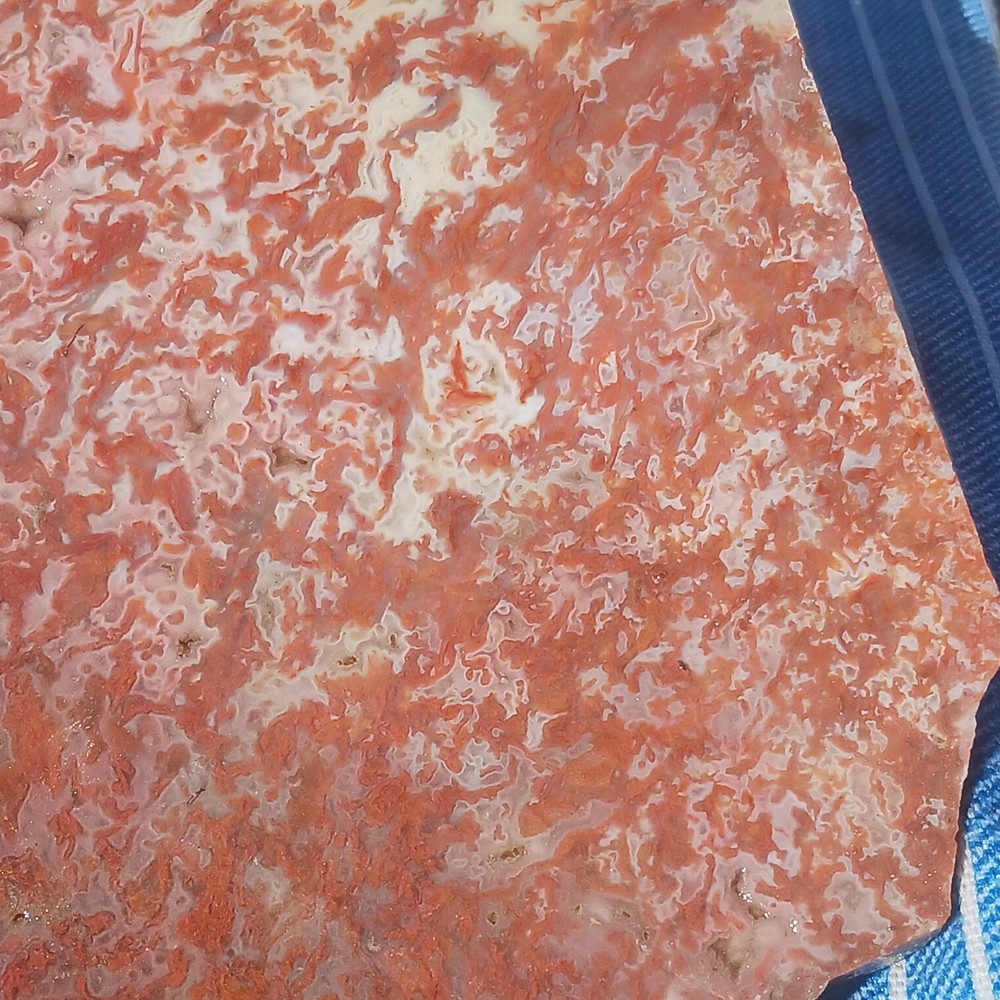 BIG Moss Agate Slab Ready For Lapidary