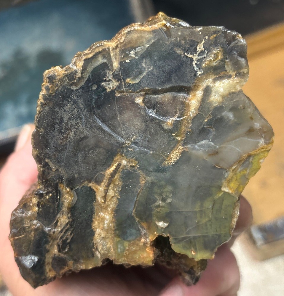 Colorful petrified wood