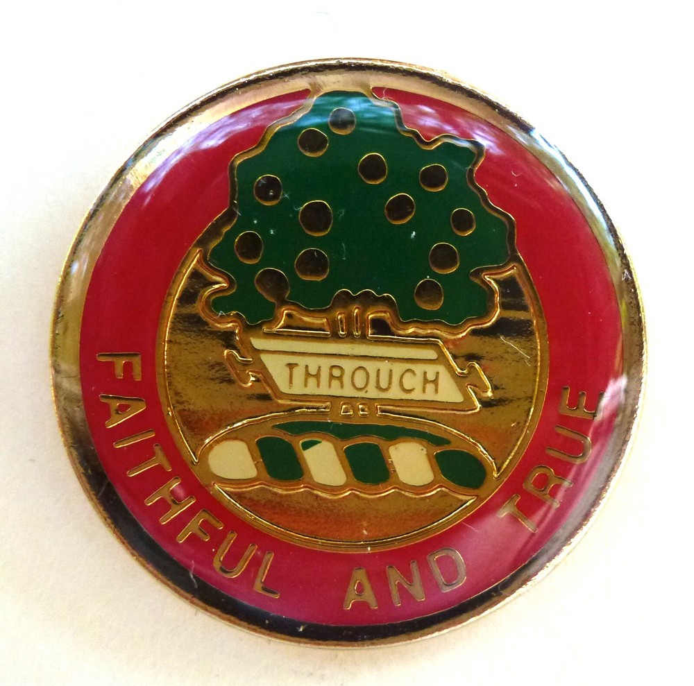 5th Field Artillery Regiment Pin (pair)